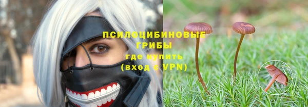 бошки Балахна